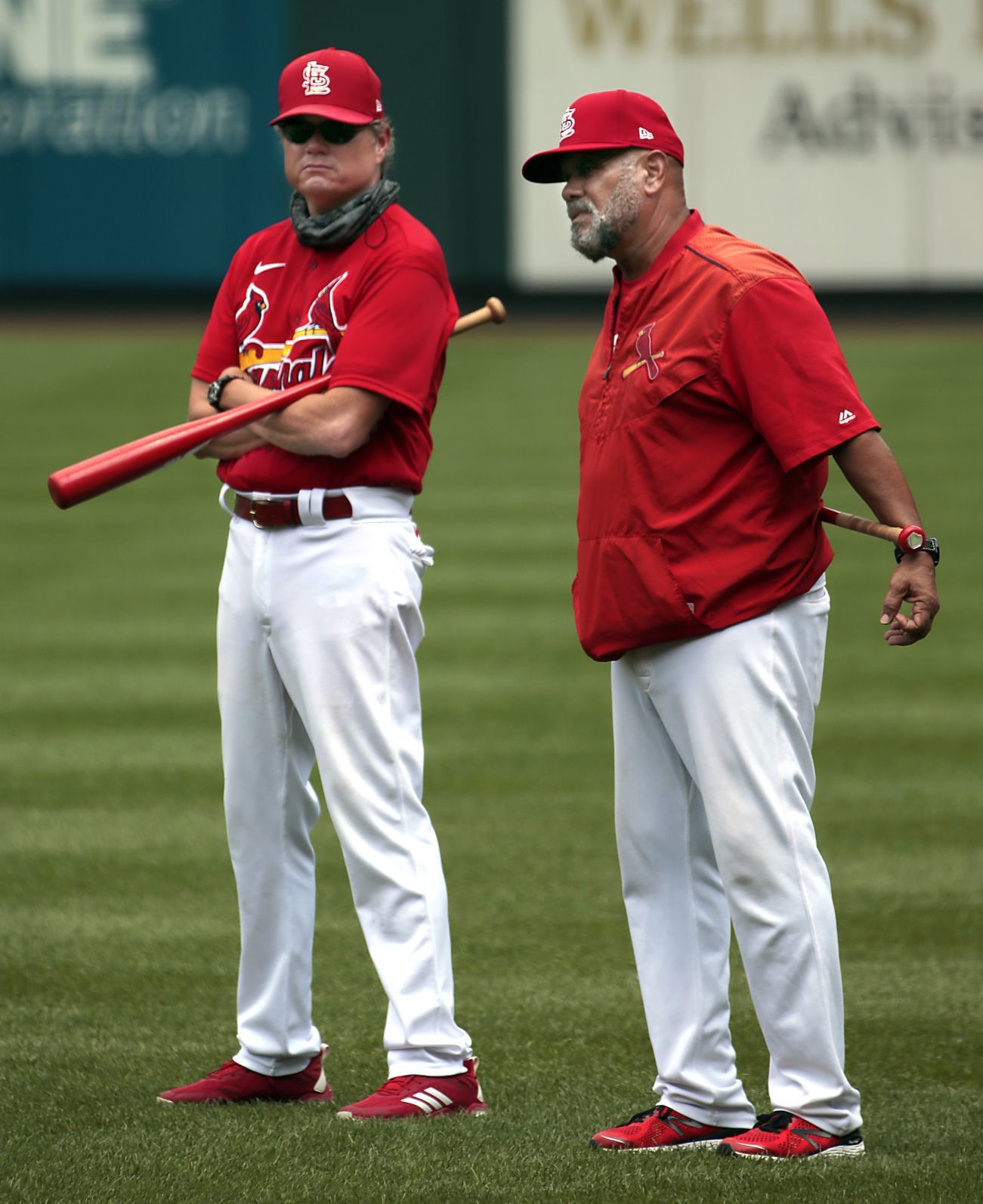 Cardinals open "Summer Camp"